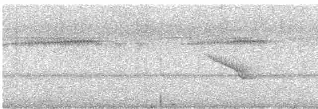 Band-tailed Manakin - ML609624509