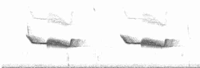 Band-winged Nightjar (Austral) - ML609626021