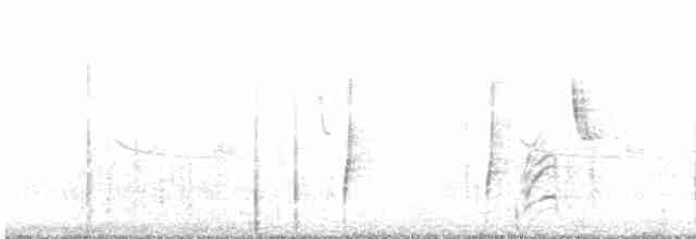 Band-winged Nightjar (Austral) - ML609626026