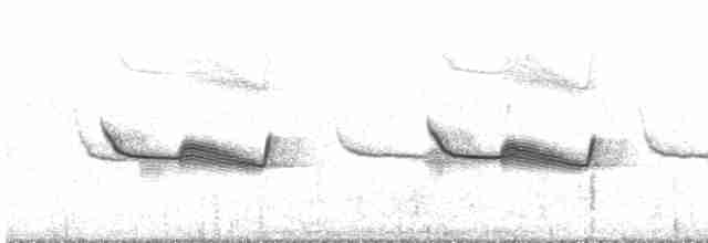 lelek pruhokřídlý (ssp. bifasciata/patagonica) - ML609626038