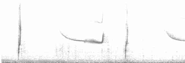 Band-winged Nightjar (Austral) - ML609626120