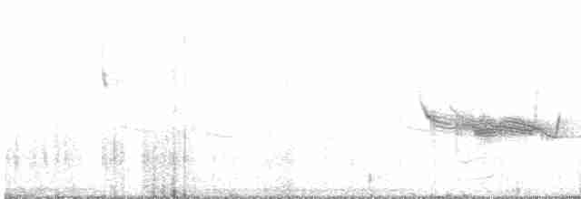 Band-winged Nightjar (Austral) - ML609626137