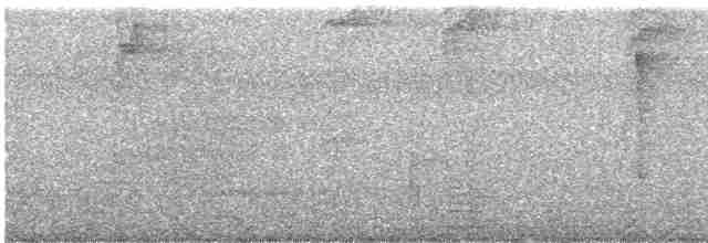Gray-headed Tanager - ML609635517
