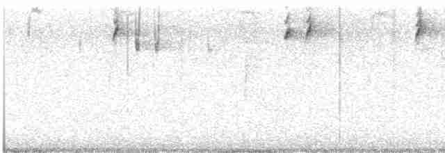 strakapoud americký [skupina harrisi] - ML609646966