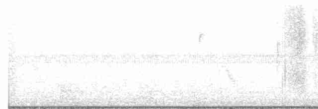 Gri Yanaklı Bülbül Ardıcı - ML609651112
