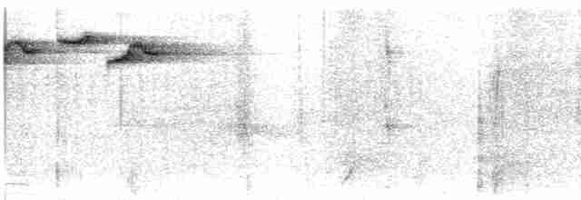 Sunda Kanarya Çıvgını (grammiceps) - ML609653227