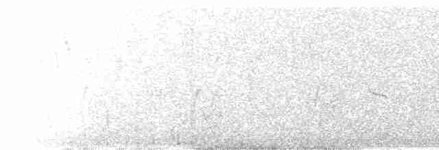 Black-shouldered Kite - ML609662370