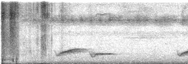 Gelbschnabelkassike (holosericeus/flavirostris) - ML609664863