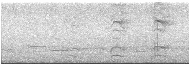 Декол плямистоволий (підвид melanochloros/nattereri) - ML609676316