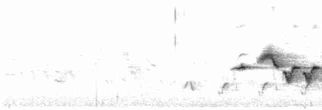 Common Redstart (Common) - ML609676768