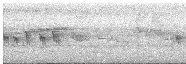Kara Tepeli Gözlükçü - ML609677389