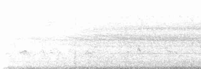 Büyük Kiskadi Tiranı - ML609678122