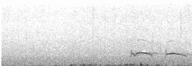 Лінивка-смугохвіст плямистобока - ML609686153