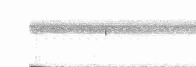 Scissor-tailed Nightjar - ML609690905