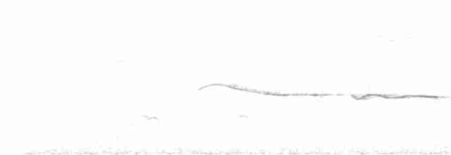 Tangara à poitrine fauve (taeniata) - ML609693539