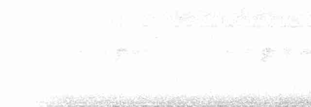 Pouillot de Swinhoe ou P. boréal - ML609698518