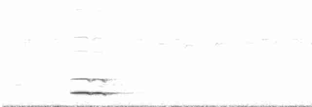 Сичик-горобець євразійський - ML609704363