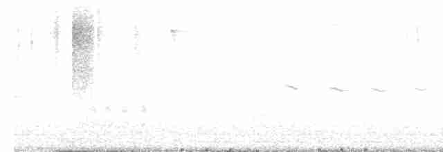 Spotted Flycatcher - ML609704496