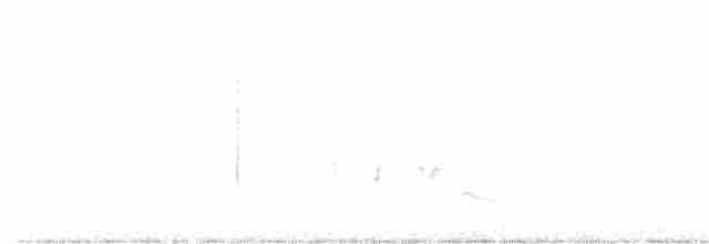 Щеврик прерієвий - ML609706941