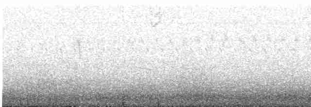Канюк неоарктичний (підвид borealis) - ML609708206