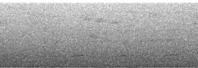 arassari tepuiový - ML60971
