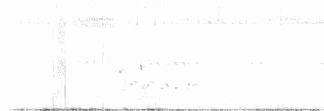 Loggerhead Shrike - ML609711391