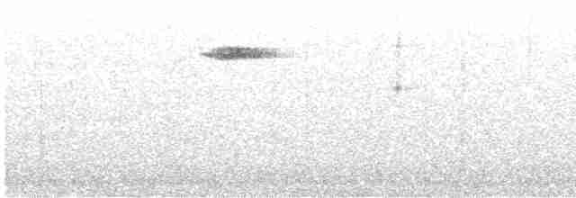 Brown Creeper - ML609712423