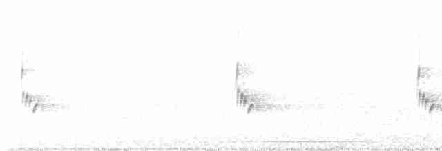 Каролинский крапивник - ML609714195
