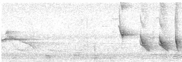 Bluish-gray Saltator - ML609716722