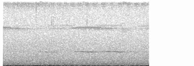 Rostbrust-Ameisendrossel - ML609724683