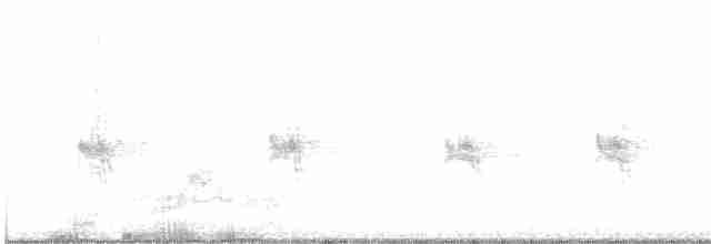 Kanyon Çıtkuşu - ML609725736