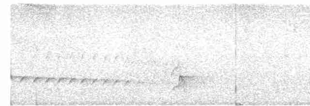 Rostrücken-Ameisenvogel - ML609728308