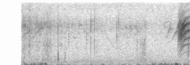 Eastern Orphean Warbler - ML609739818