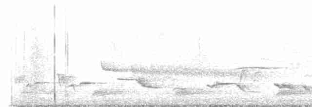 Cossyphe à calotte neigeuse - ML609741162