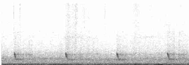 Large-tailed Nightjar - ML609742899