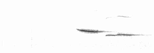 Black-capped Chickadee - ML609749171