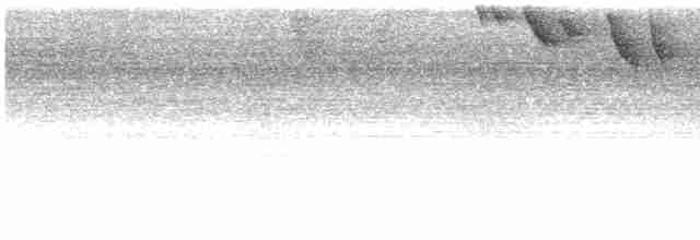 Band-tailed Barbthroat - ML609750984