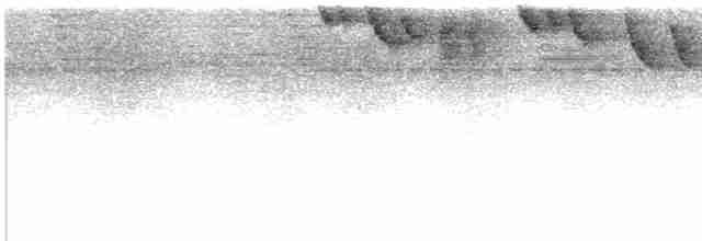Band-tailed Barbthroat - ML609750986