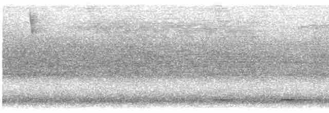 Lacivert Kuyruklu Trogon - ML609751063