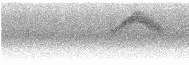 Kestane Karınlı Bülbül Tiranı - ML609753990