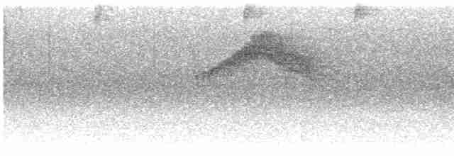 Kestane Karınlı Bülbül Tiranı - ML609753991