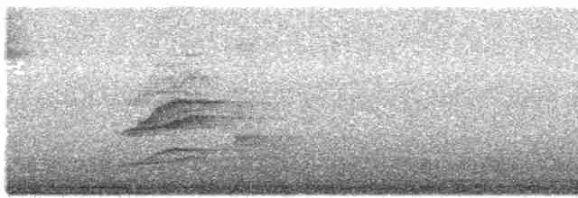 Дрізд-короткодзьоб плямистоволий - ML609759229