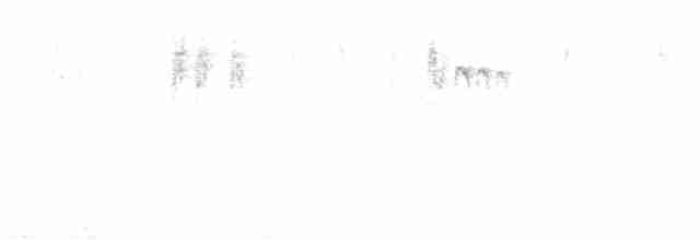Серый ополовничек (plumbeus) - ML609760534