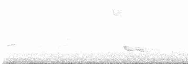 Doğulu Mavi Ardıç - ML609768915