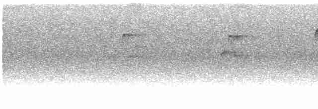 Пестрогрудый тираннчик - ML609777533