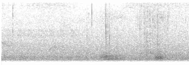 Андский туканет (albivitta/phaeolaemus) - ML609777578