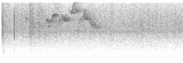 Troglodyte montagnard - ML609777871