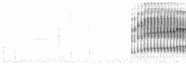 Тітіріджі сіроволий - ML609786366