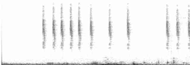 Troglodyte de Baird (groupe alascensis) - ML609786477