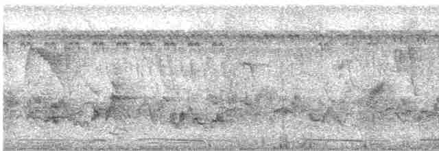 hrdlička kropenatá - ML609788804